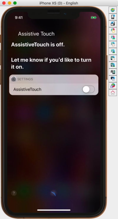 AssistiveTouch有効化